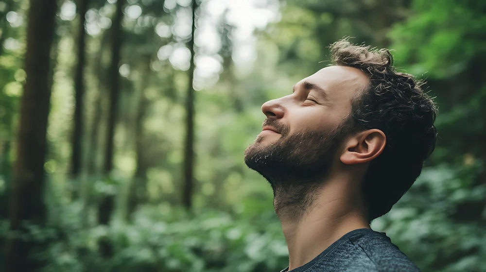 12-step 12-Step Rehab Program